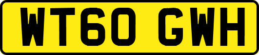 WT60GWH