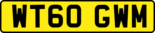 WT60GWM