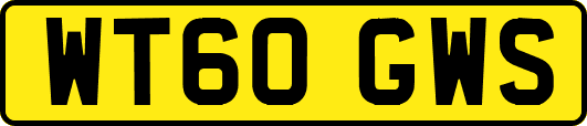 WT60GWS