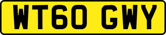 WT60GWY