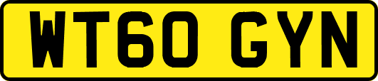 WT60GYN