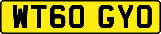 WT60GYO