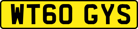 WT60GYS