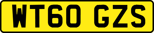 WT60GZS