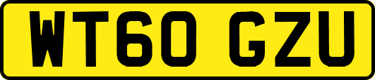 WT60GZU