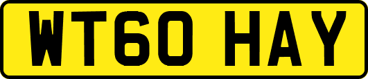 WT60HAY