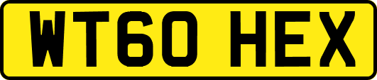 WT60HEX