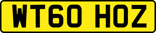 WT60HOZ