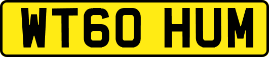 WT60HUM