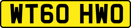 WT60HWO
