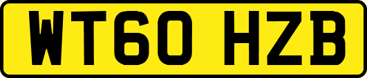 WT60HZB