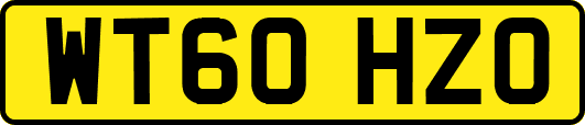 WT60HZO