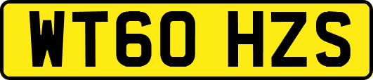WT60HZS
