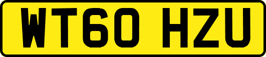 WT60HZU