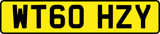 WT60HZY