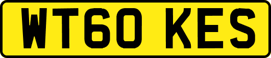 WT60KES