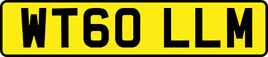 WT60LLM