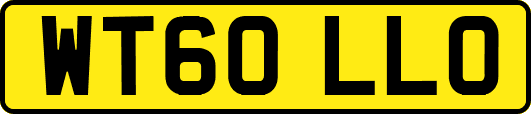 WT60LLO