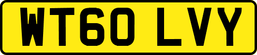 WT60LVY