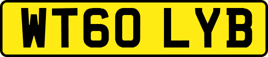 WT60LYB