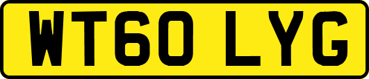 WT60LYG