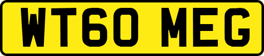 WT60MEG