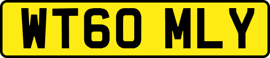 WT60MLY