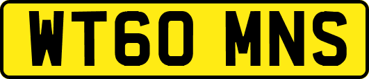 WT60MNS