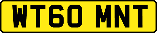 WT60MNT