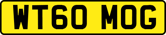 WT60MOG