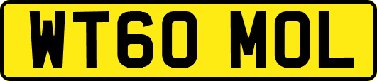 WT60MOL