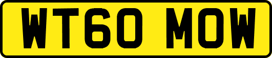 WT60MOW