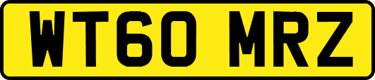 WT60MRZ