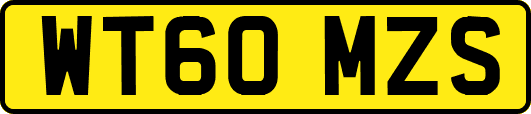 WT60MZS