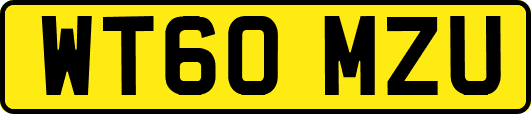 WT60MZU