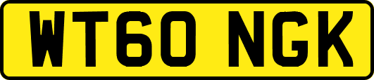 WT60NGK