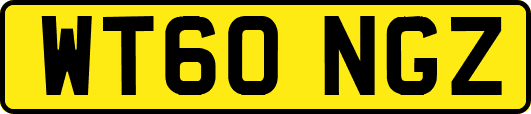WT60NGZ