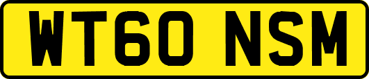 WT60NSM