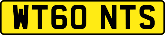 WT60NTS