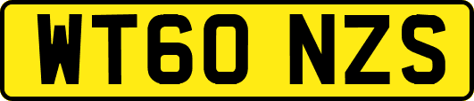 WT60NZS