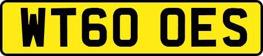 WT60OES