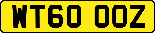 WT60OOZ