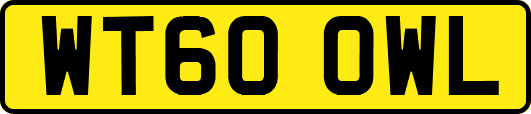 WT60OWL
