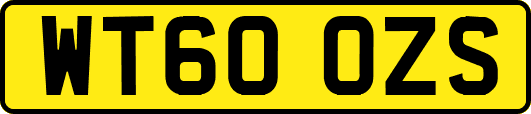 WT60OZS