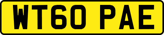 WT60PAE