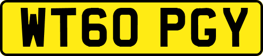 WT60PGY