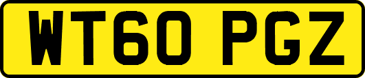 WT60PGZ