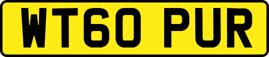 WT60PUR