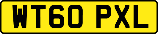 WT60PXL