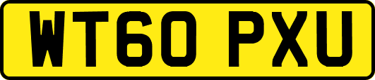 WT60PXU